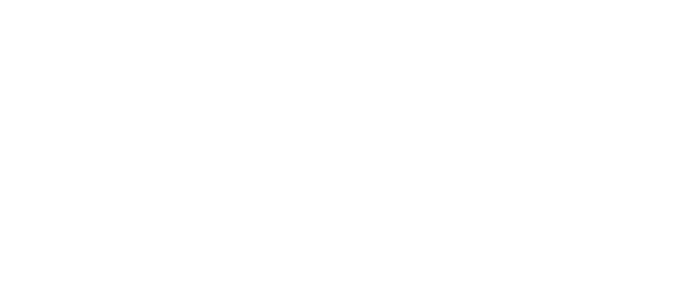 NPASA Logo Clear